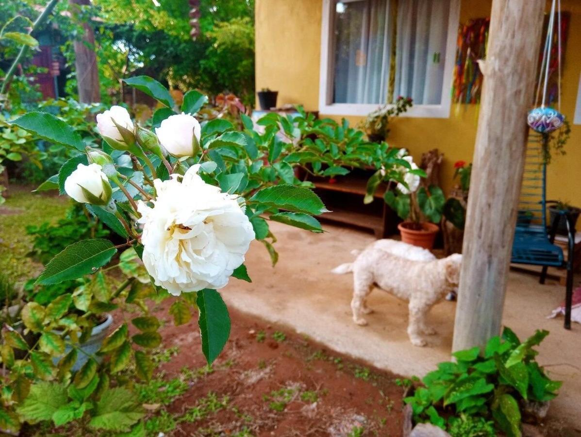 Villa Agape - Chapada Dos Veadeiros Alto Paraíso de Goiás 外观 照片