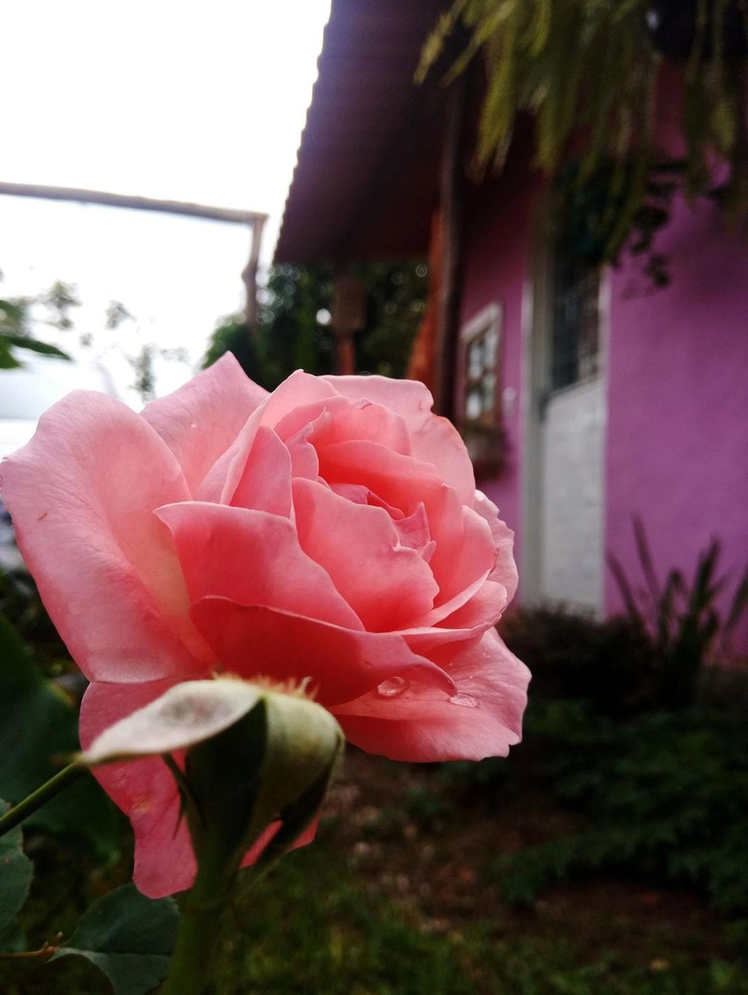 Villa Agape - Chapada Dos Veadeiros Alto Paraíso de Goiás 外观 照片